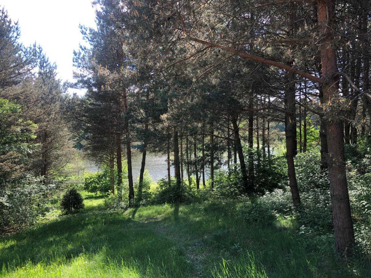 Za Piecem Villa Guzowy Piec Exteriör bild