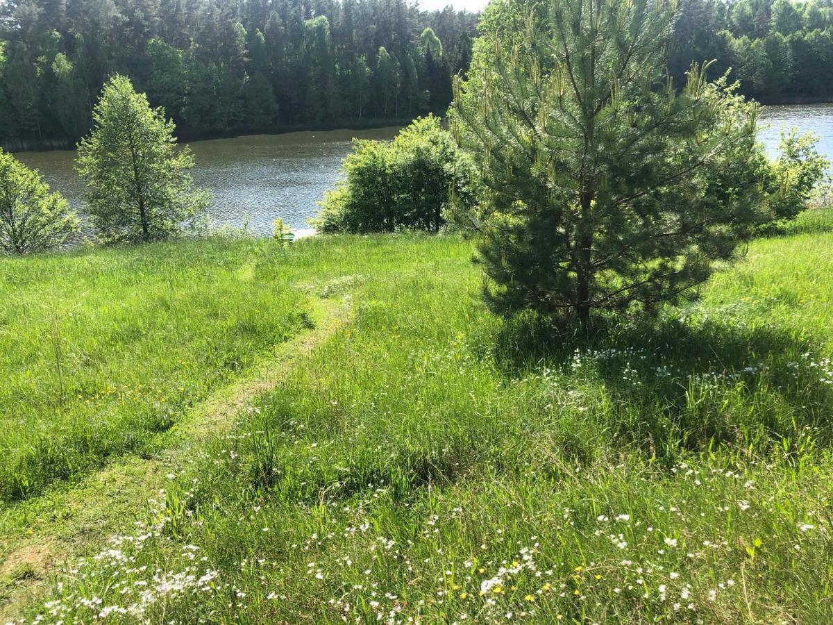 Za Piecem Villa Guzowy Piec Exteriör bild