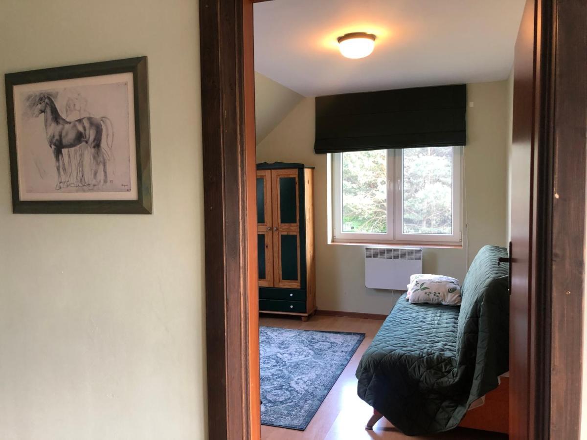 Za Piecem Villa Guzowy Piec Exteriör bild