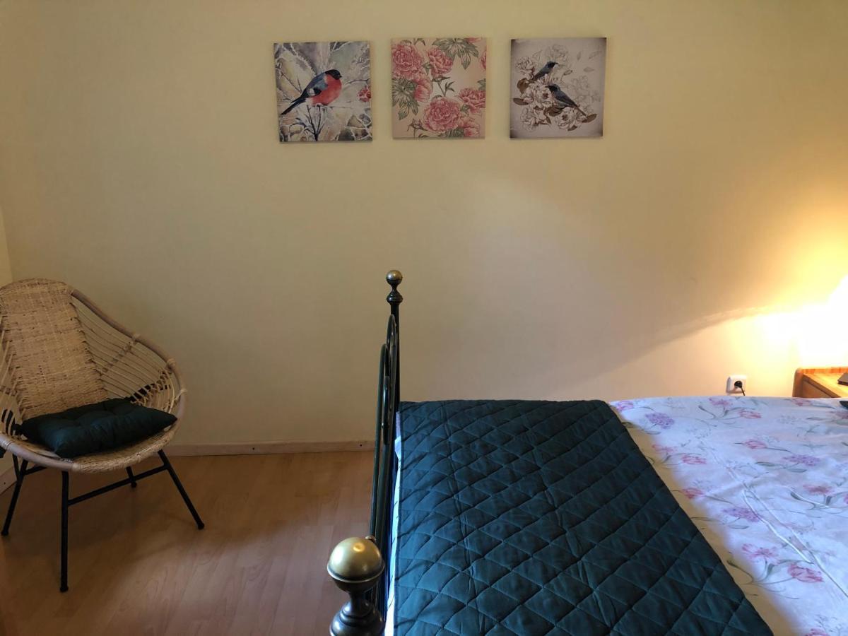 Za Piecem Villa Guzowy Piec Exteriör bild