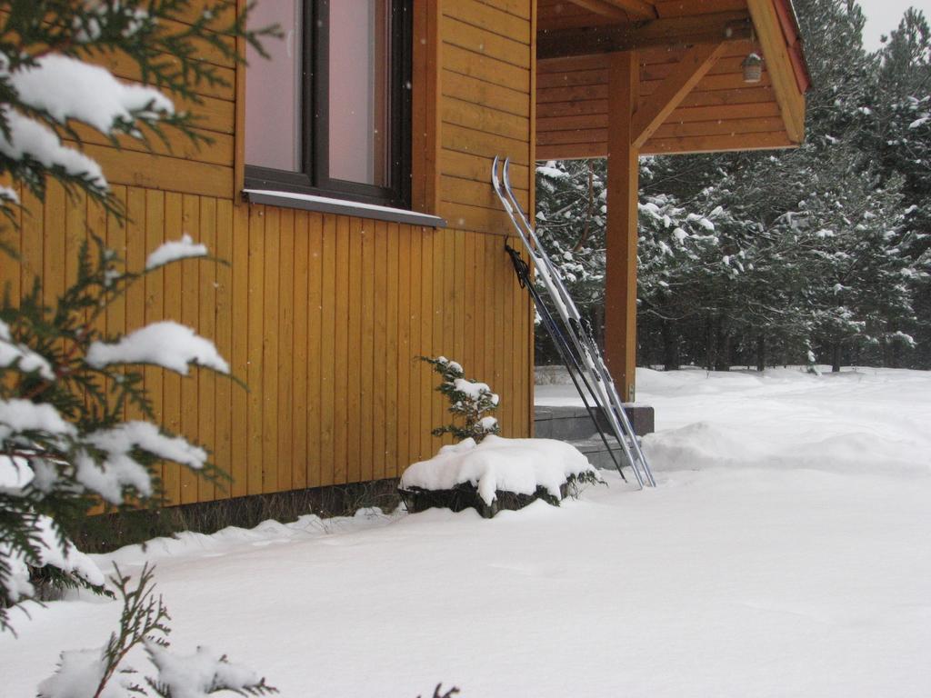 Za Piecem Villa Guzowy Piec Rum bild