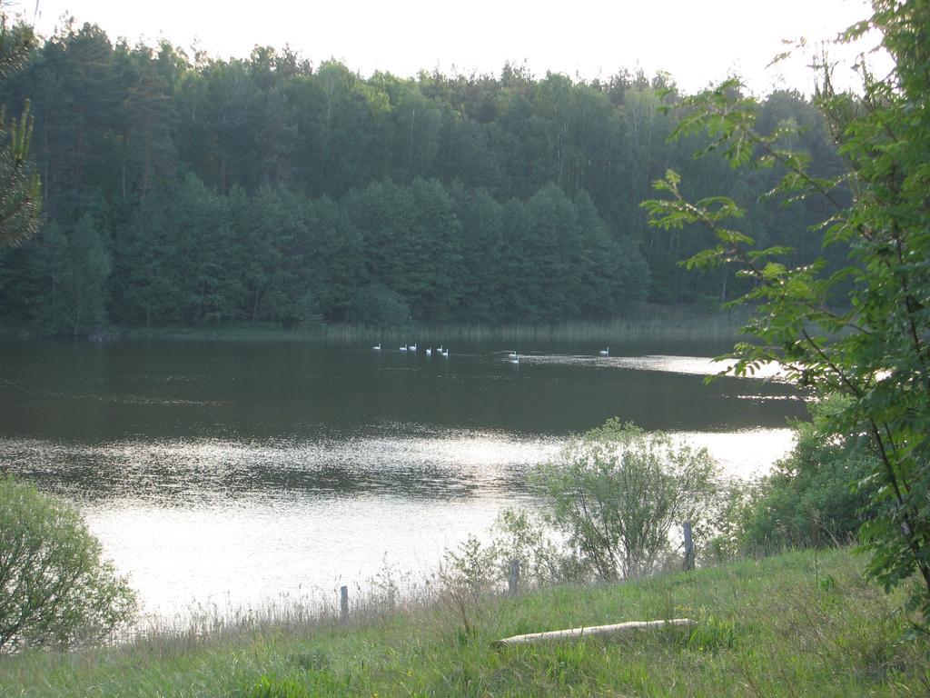 Za Piecem Villa Guzowy Piec Exteriör bild